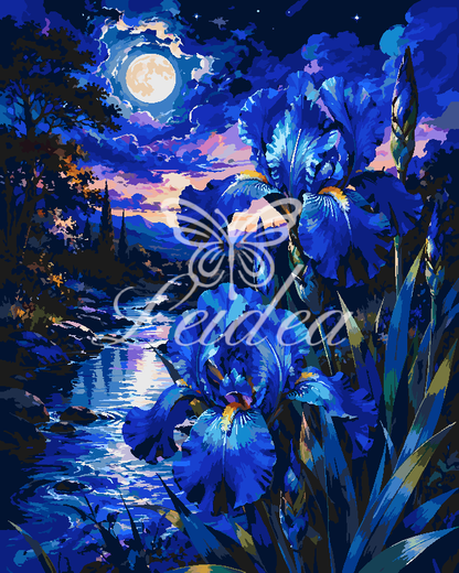 Midnight Iris Lagoon