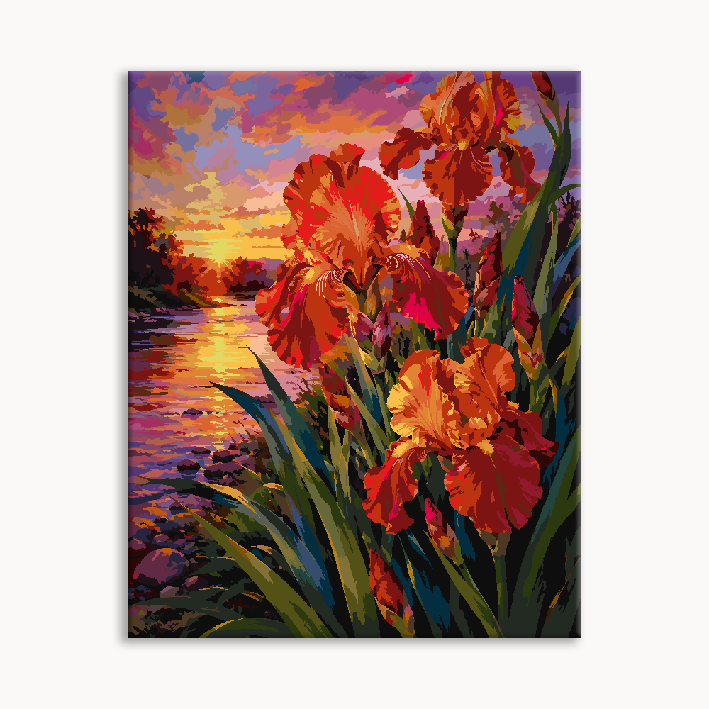 Sunset Iris Symphony