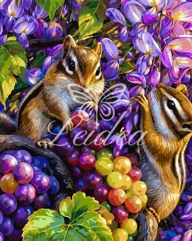 Two Squirrel Vineyard Paint By Numbers
