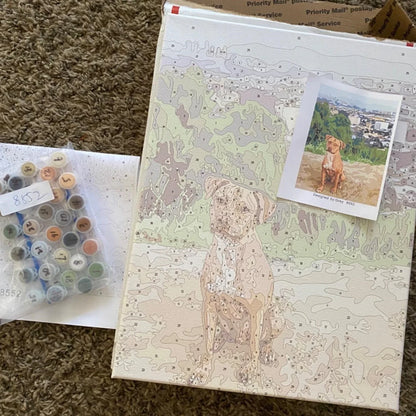 Custom Paint by Numbers Kit